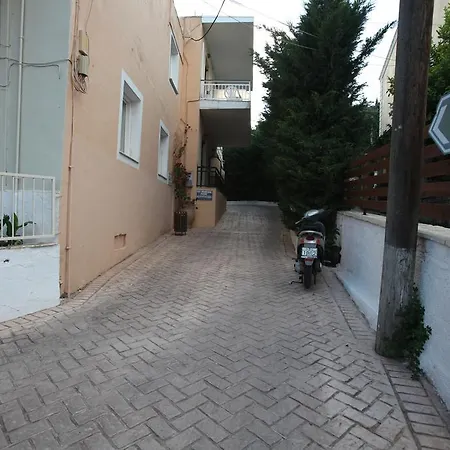 Oassis